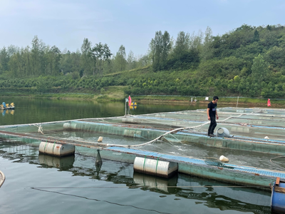 谷城水產養殖 綠色轉型中的產業新篇章
