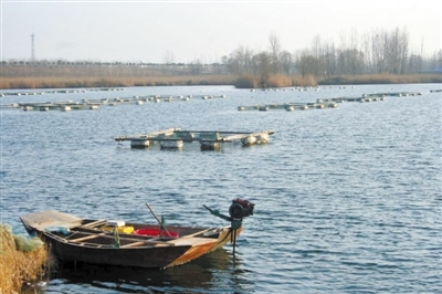 東明聯社“貸”出水產養殖新天地