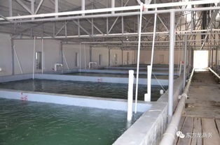 東方龍商務(wù)高端水產(chǎn)養(yǎng)殖全國布局項目政府對接會即將召開，共繪產(chǎn)業(yè)發(fā)展新藍(lán)圖