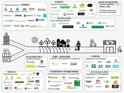 非洲農(nóng)業(yè)科技新浪潮 聚焦種植決策、供應鏈與金融服務(wù)的數(shù)字化轉(zhuǎn)型